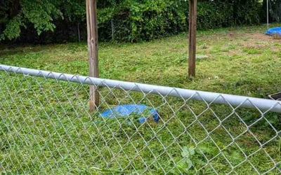 Photo of Michael R.'s yard after getting tree care in Maryville, TN