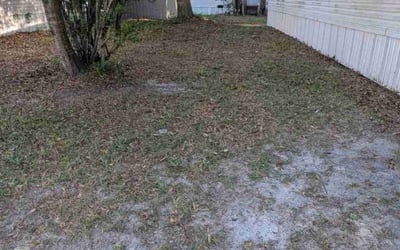 Photo of Donna M.'s yard after getting landscaping in North Myrtle Beach, SC