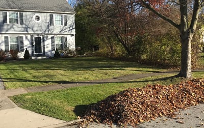 Photo of Michelle B.'s yard after getting landscaping in Chesterland, OH