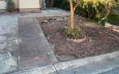 Photo of Jijo J.'s yard after getting tree care in El Dorado Hills, CA
