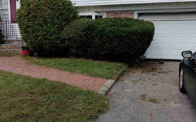 Photo of Gail B.'s yard after getting landscaping in North Kingstown, RI