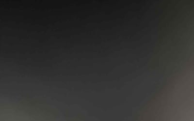 Photo of Katherine T.'s yard after getting tree care in Port Orange, FL