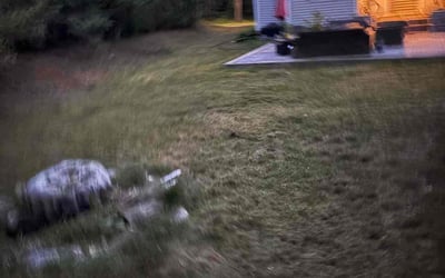 Photo of Emily W.'s yard after getting landscaping in Farmington, CT