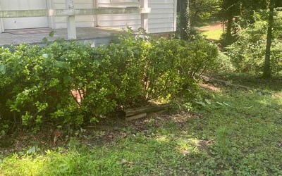 Photo of Trevor M.'s yard after getting landscaping in Experiment, GA