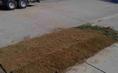 Photo of Matt H.'s yard after getting landscaping in Grand Prairie, TX