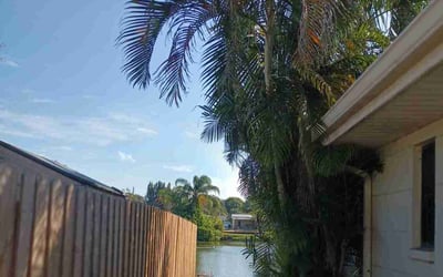Photo of Sandra B.'s yard after getting landscaping in Lacoochee, FL