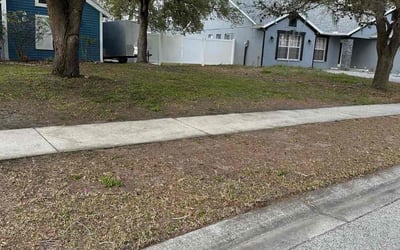 Photo of Jennifer M.'s yard after getting landscaping in Belleair Beach, FL