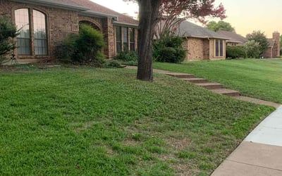 Photo of Sarah W.'s yard after getting landscaping in Westminster, TX