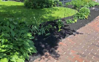 Photo of David S.'s yard after getting landscaping in Saco, ME