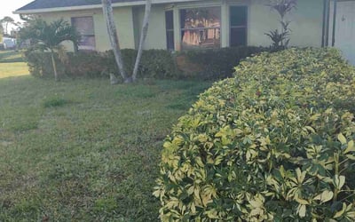 Photo of Michael H.'s yard after getting tree care in Quincy, FL