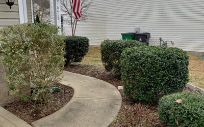 Photo of Shawn S.'s yard after getting landscaping in Mount Pleasant, NC