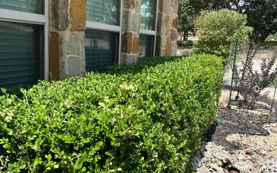 Photo of Diana H.'s yard after getting landscaping in New Braunfels, TX