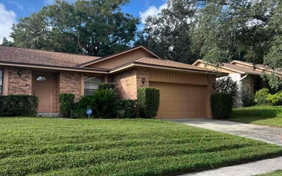 Photo of Neil T.'s yard after getting landscaping in Mascotte, FL