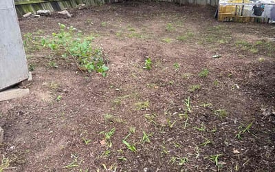 Photo of Misty A.'s yard after getting landscaping in Sand Springs, OK