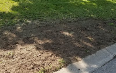 Photo of Virginia B.'s yard after getting landscaping in Germantown, OH