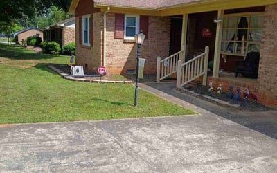 Photo of Frank B.'s yard after getting tree care in Wilmington, NC