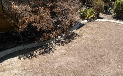 Photo of Annur S.'s yard after getting landscaping in Rosamond, CA