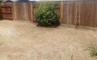 Photo of Trey M.'s yard after getting landscaping in Oakdale, CA