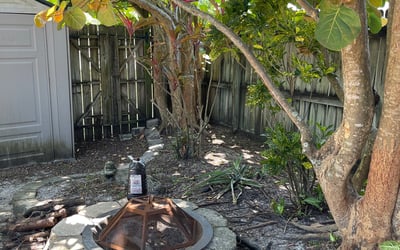 Photo of Gerald R.'s yard after getting tree care in Ocoee, FL