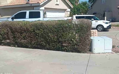 Photo of Larry L.'s yard after getting landscaping in Glendale, AZ