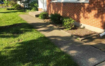 Photo of Tod P.'s yard after getting landscaping in Elmhurst, IL