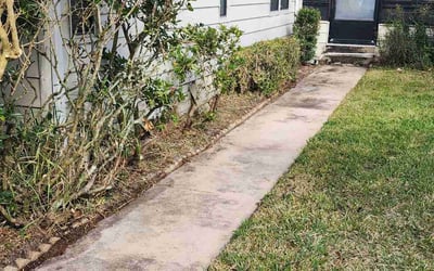 Photo of Vikki P.'s yard after getting tree care in Orange City, FL