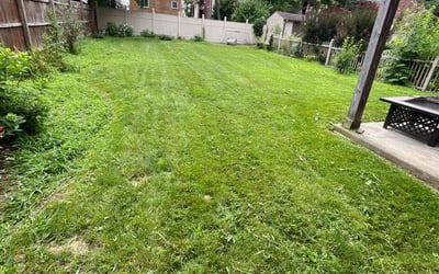Photo of Jessica S.'s yard after getting landscaping in Pittsburgh, PA