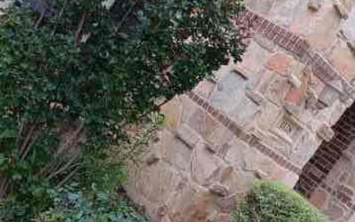Photo of Cindy E.'s yard after getting landscaping in Rosanky, TX