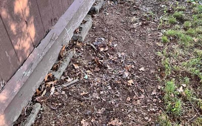 Photo of Jennifer D.'s yard after getting landscaping in Vernon Rockville, CT