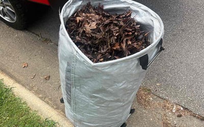 Photo of Robb H.'s yard after getting landscaping in Raleigh, NC