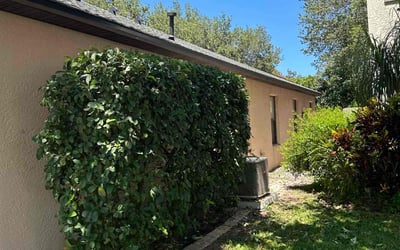 Photo of Megan D.'s yard after getting landscaping in Titusville, FL