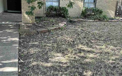 Photo of Amanda H.'s yard after getting landscaping in Avalon, TX