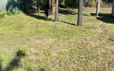 Photo of Daniel S.'s yard after getting landscaping in Bonsall, CA