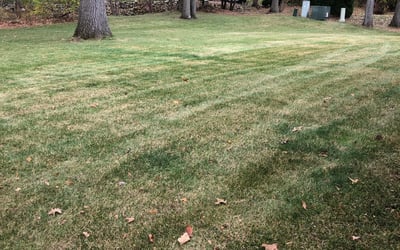 Photo of Matt L.'s yard after getting landscaping in Fulton, OH