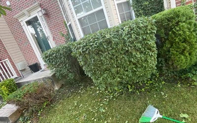 Photo of Jeffrey C.'s yard after getting landscaping in Abingdon, MD