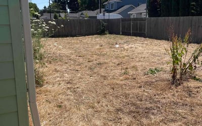 Photo of Patricia R.'s yard after getting landscaping in Vancouver, WA