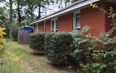 Photo of William W.'s yard after getting landscaping in Brighton, TN