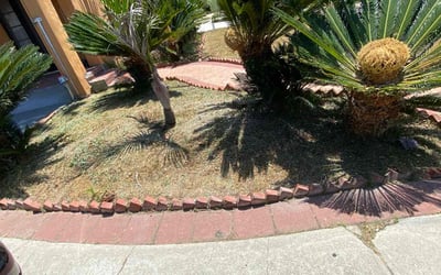 Photo of Charles B.'s yard after getting landscaping in Los Angeles, CA