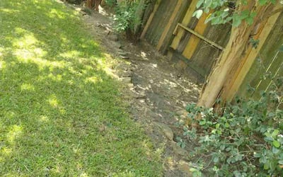 Photo of Monica Q.'s yard after getting landscaping in Spring, TX