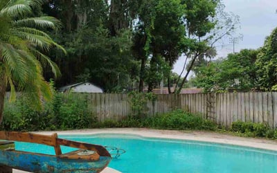 Photo of William T.'s yard after getting landscaping in Jacksonville, FL