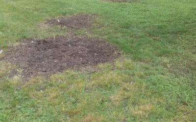 Photo of Hurio J.'s yard after getting landscaping in Glenwood City, WI
