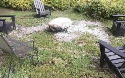 Photo of John S.'s yard after getting landscaping in Roswell, GA