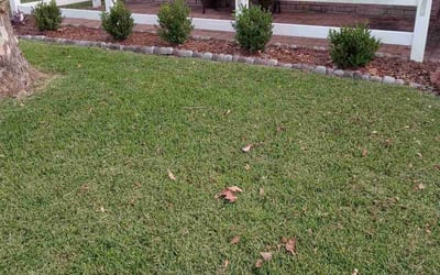 Photo of Jason D.'s yard after getting landscaping in Kemah, TX