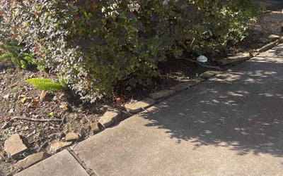 Photo of Denise M.'s yard after getting landscaping in Dayton, TX