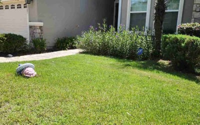 Photo of Kathleen M.'s yard after getting landscaping in Alachua, FL