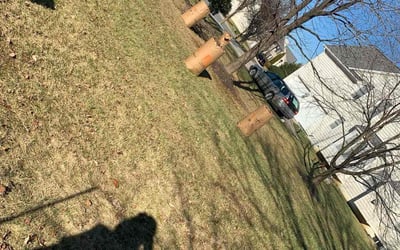Photo of Justin J.'s yard after getting landscaping in Benedict, MD