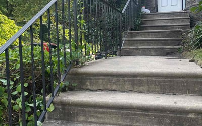 Photo of Brenda H.'s yard after getting landscaping in Philadelphia, PA