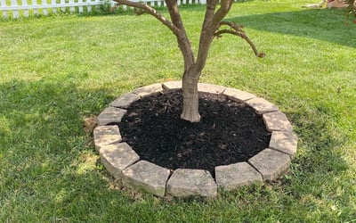 Photo of Rosa l.'s yard after getting landscaping in Huntingtown, MD