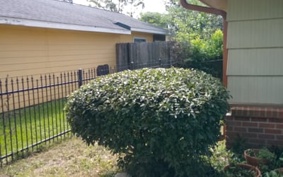 Photo of Devin M.'s yard after getting landscaping in Alief, TX