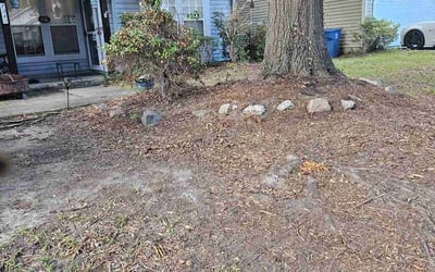 Photo of Veronica C.'s yard after getting landscaping in Summerville, SC